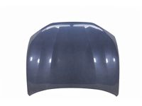 Ford LJ8Z-16612-A Hood Assembly