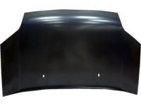 Ford 7T1Z-16612-A Hood Assembly