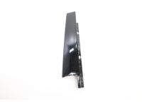 Ford LC5Z-78255A35-C Moulding Ford LC5Z-78255A35-C Moulding