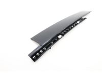 Ford LC5Z-78255A35-C Applique