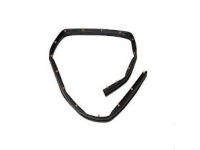 Ford FT4Z-5820759-B Door Weatherstrip Lower Ford FT4Z-5820759-B Door Weatherstrip Lower