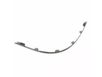 Ford 5G1Z-17C830-AAA Bumper Bar Moulding
