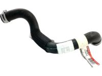 Ford 5L1Z-8286-BB Hose Assembly