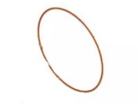 Ford HL3Z-7A548-G Seal