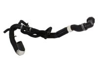 Ford HC2Z-8286-D Radiator Hose