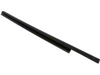 Ford BB5Z-7825596-B Weatherstrip - Door Glass Channel