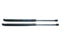 Ford 6L2Z-78406A10-AA Gas Lift Assembly Ford 6L2Z-78406A10-AA Gas Lift Assembly
