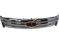 Ford 8G1Z-8200-AA Radiator Grille
