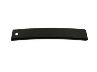 Ford CN1Z-7450462-B Moulding