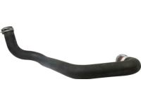 Ford 1C3Z-8286-CA Hose Assembly