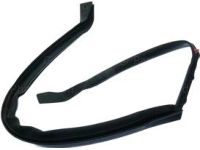 Ford FT4Z-5828124-D Weatherstrip