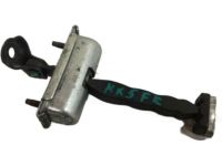 Ford DS7Z-5423552-B Door Check Assembly