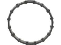 Ford HL3Z-8507-D Water Pump Gasket