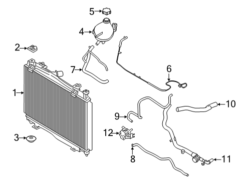 2020 Ford EcoSport Radiator & Components Diagram 1