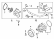 Diagram for 2022 Ford Transit Connect Cooling Hose - JX6Z-8597-B