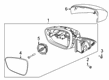 Diagram for 2023 Ford Escape Mirror Cover - LJ6Z-17D742-BBPTM