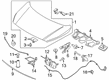 Diagram for 2023 Ford Transit Connect Hood - KT1Z-16612-C