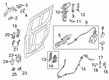 Diagram for Ford Transit Connect Door Handle - BK2Z-6122666-C