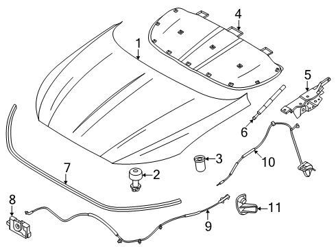 Ford -W711213-S442 Special Nut -W711213-S442 Ford Special Nut
