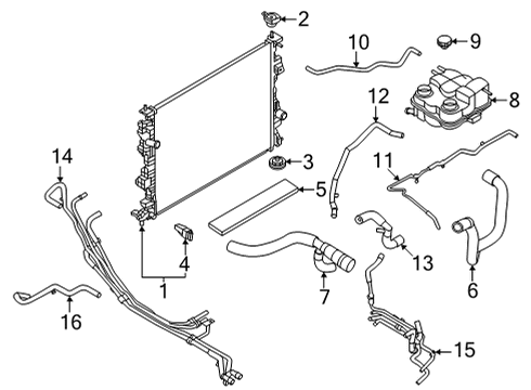 2024 Ford Maverick Radiator Hose Diagram for LX6Z-8260-B