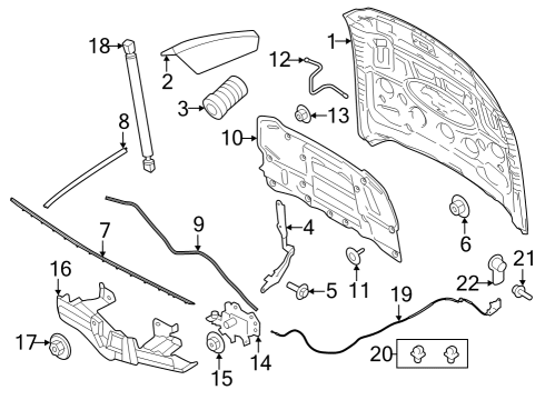 2025 Ford Mustang Weatherstrip Diagram for PR3Z-16A239-A