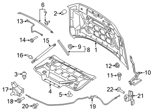 2022 Ford F-150 Gas Lift Assembly Diagram for ML3Z-16C826-A