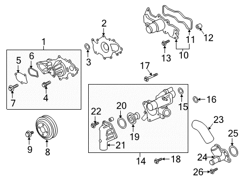 2020 Ford F-150 Thermostat Assembly Diagram for HL3Z-8575-B