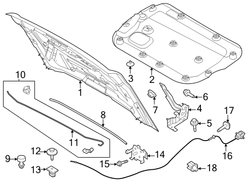 2023 Ford Bronco Hood Assembly Diagram for M2DZ-16612-B