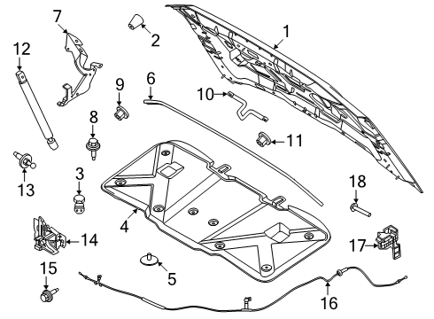 2025 Ford Expedition Hood Latch Assembly Diagram for SL1Z-16700-A