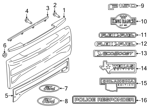 2020 Ford F-150 Moulding Diagram for FL3Z-9941018-AD
