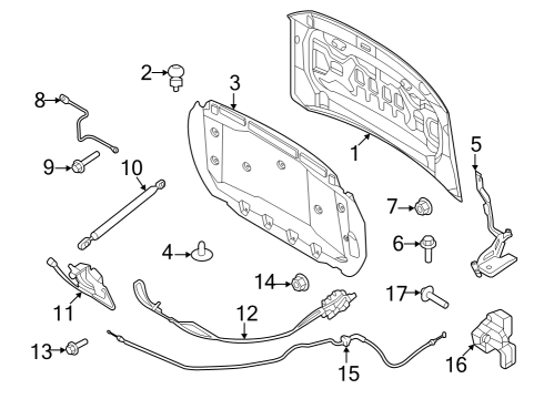 2025 Ford F-150 Lightning Hood Hinge Assembly Diagram for NL3Z-16796-A