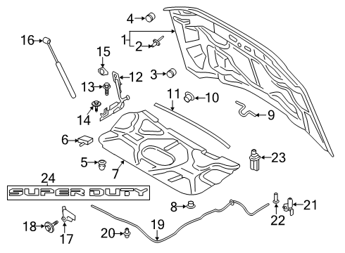 2020 Ford F-350 Super Duty Hood Assembly Diagram for LC3Z-16612-C