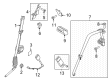 Diagram for 2025 Ford F-150 Seat Belt - ML3Z-18611B08-AA