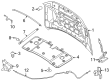 Diagram for 2025 Lincoln Navigator Hood Hinge - SL7Z-16797-A
