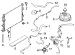 Diagram for 2025 Ford Maverick Radiator Hose - PZ1Z-8260-A