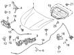 Diagram for Ford Hood Hinge - LJ8Z-16796-B