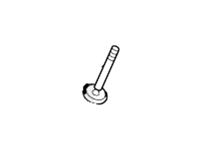 Ford Intake Valve - 2L2Z-6507-BA