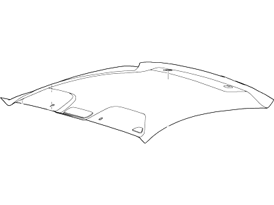 Ford DR3Z-6351916-AA Headlining - Roof