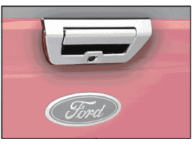 2016 Ford F-150 Door Handle - VFL3Z-1522404-C