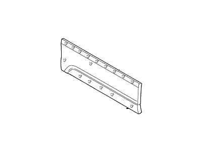 Ford 4L7Z-7820879-AAA Panel