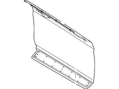 Ford AG1Z-5420200-A Panel Assembly - Door - Outer