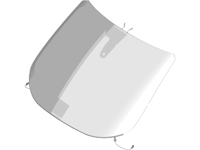 Ford DT1Z-5403100-AN Windshield Glass