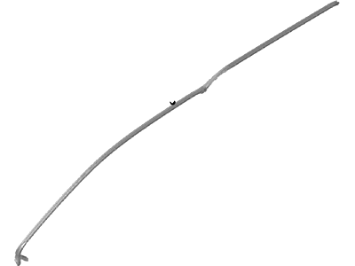 Ford DT1Z-1551822-D Weatherstrip Assembly - Door Opening