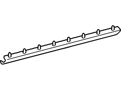 Lincoln Blackwood Door Seal - 2C6Z1620759AA