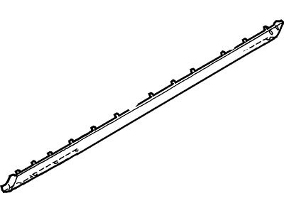 Ford 1W6Z-7610177-AAE Moulding