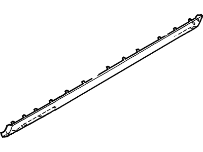 Ford 1W6Z-7610176-AAC Moulding