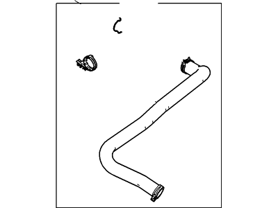 Ford 9L3Z-8260-C Hose - Radiator