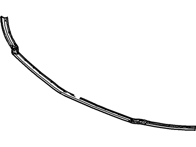 Mercury Weather Strip - 6E5Z-16B990-A