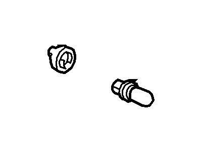 Ford Escape Instrument Panel Light Bulb - YL8Z-13B765-AB