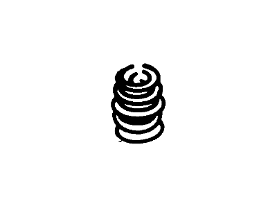 Mercury Coil Springs - 6F1Z-5560-A
